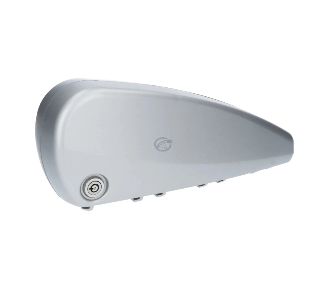BMZ-Go-Swiss-36V-16Ah-Drive-Down-Tube2.webp