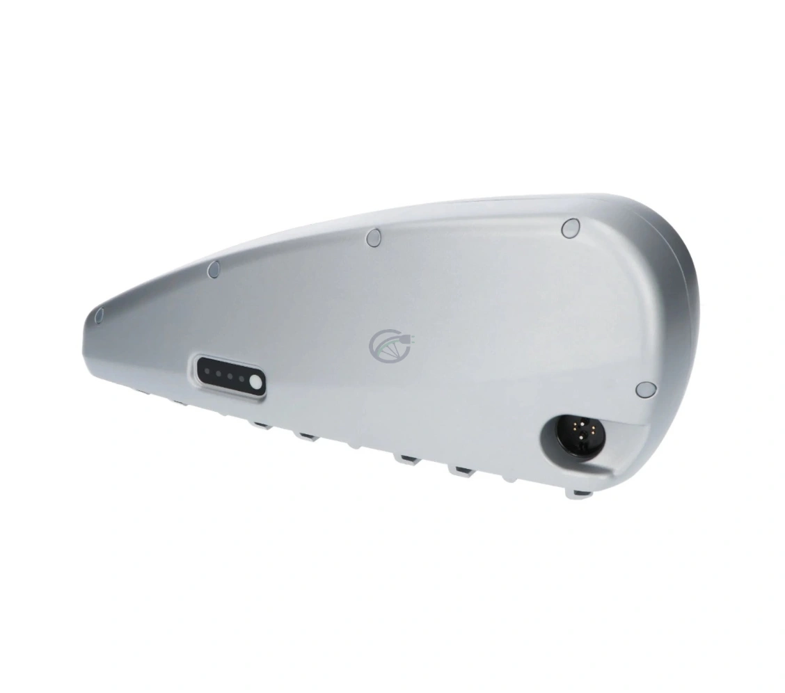 BMZ-Go-Swiss-36V-16Ah-Drive-Down-Tube4.webp