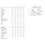 Cube-Nuroad-Hybrid-C-62-SLX-400X-compressed.jpg