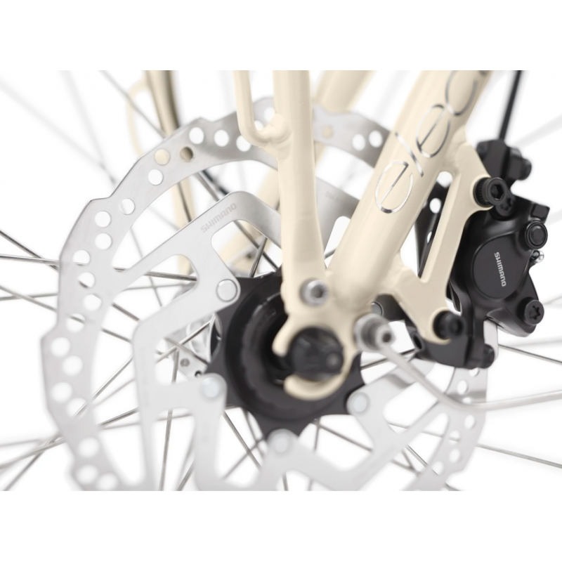 Electra-Townie-Commute-Go-5.png