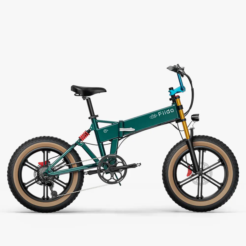 Fiido-M1-Pro-Velo-electrique.webp