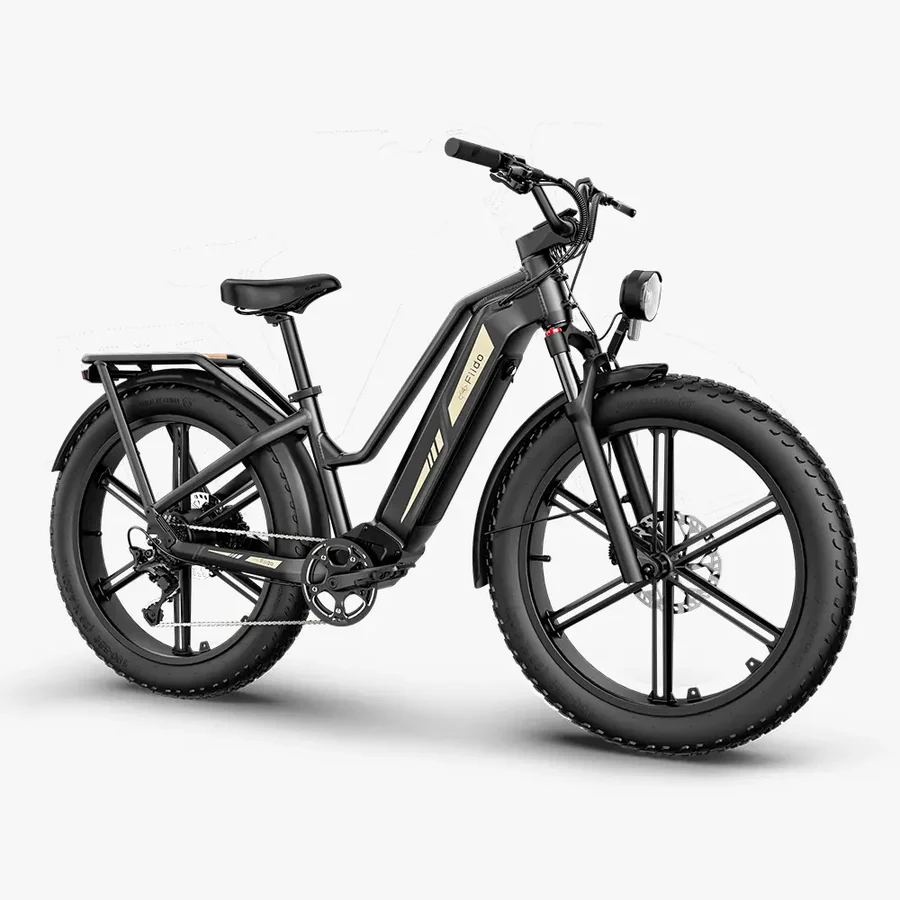 Fiido-Titan-Fat-Tire-Touring-Velo-electrique-1.webp