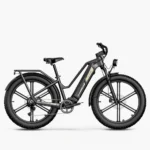 Fiido-Titan-Fat-Tire-Touring-Velo-electrique.webp
