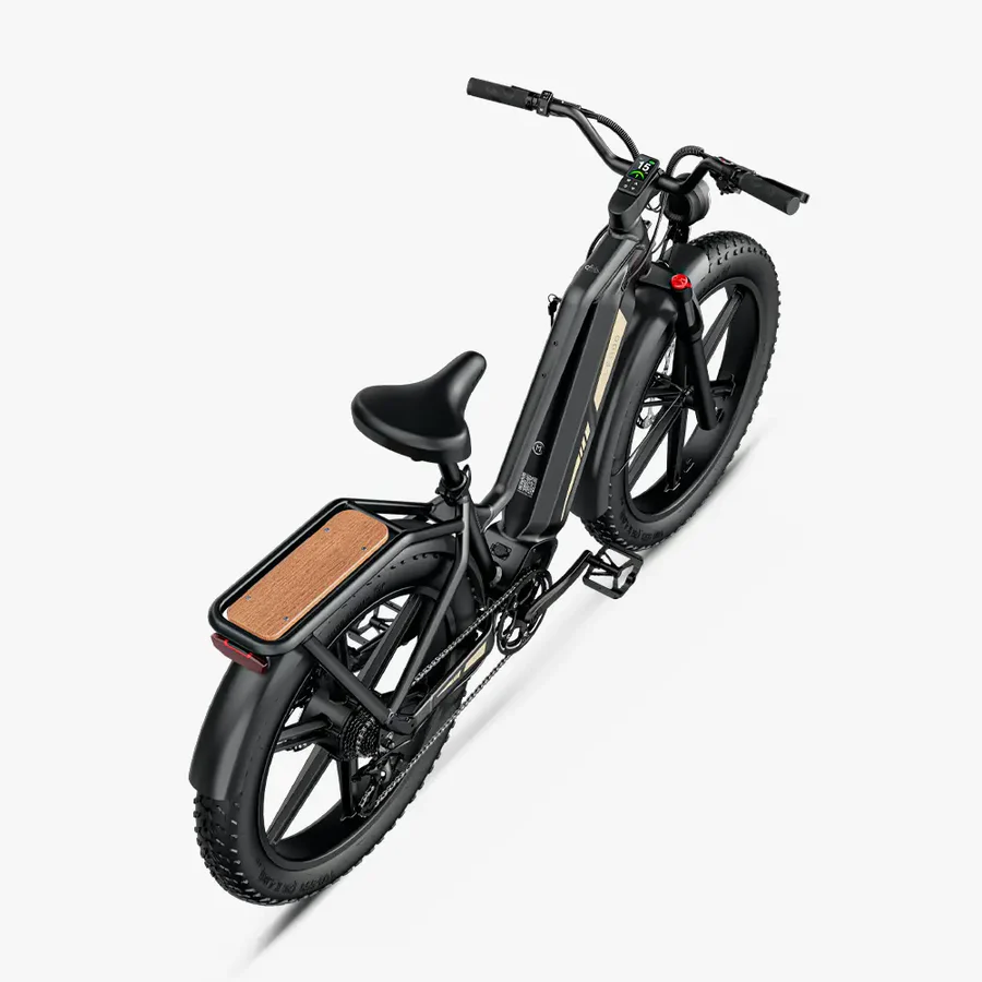 Fiido-Titan-Fat-Tire-Touring-Velo-electrique-2.webp