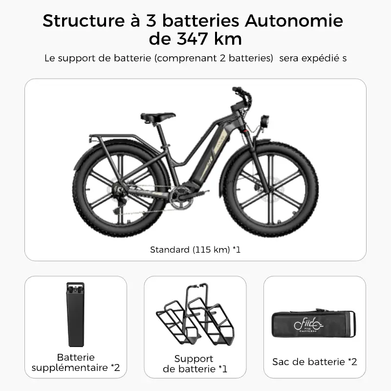 Fiido-Titan-Fat-Tire-Touring-Velo-electrique-4.webp