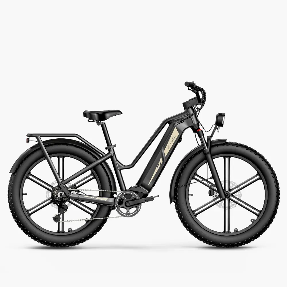 Fiido-Titan-Fat-Tire-Touring-Velo-electrique.webp