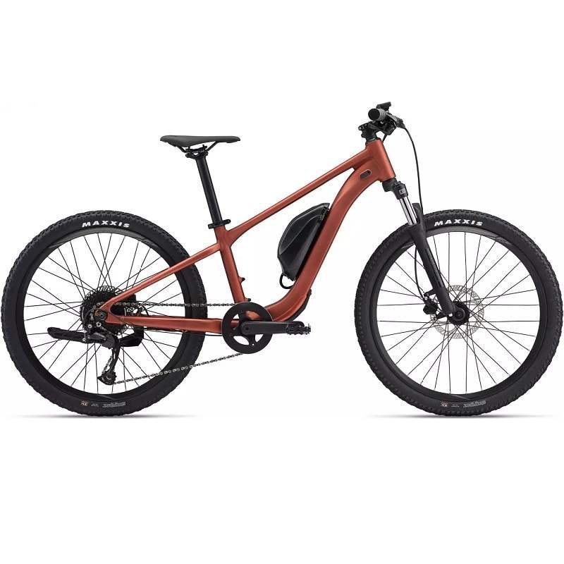 VTT-electriques-Giant-Talon-E-24-compressed.jpg
