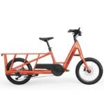 Velo-cargo-electrique-Trek-Fetch-2-1-compressed.jpg