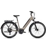 Velo-de-randonnee-electrique-Kalkhoff-Entice-3-Move-3.jpg