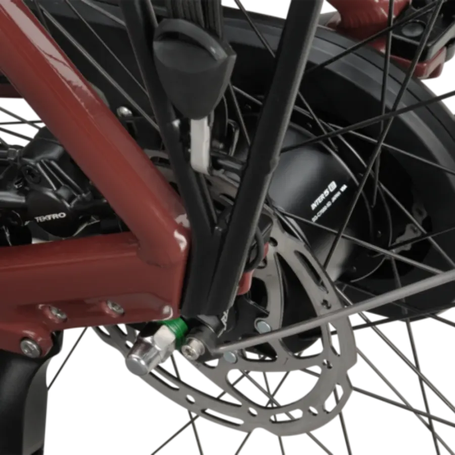 Velo-electrique-Batavus-Altura-E-Go-Power-Pro-3.webp