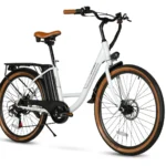Velo-electrique-SAMEBIKE-TDE10Z.jpg