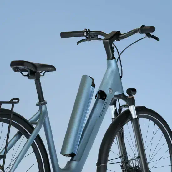 Velo-electrique-Tenways-CGO800S-2.webp