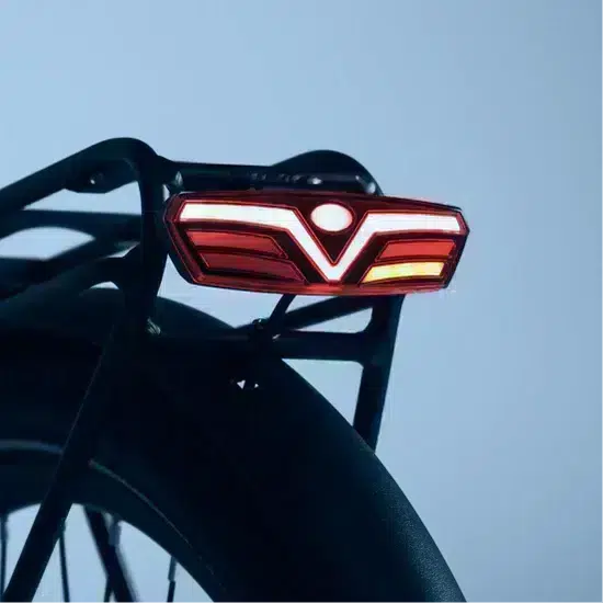 Velo-electrique-Tenways-CGO800S-5.webp