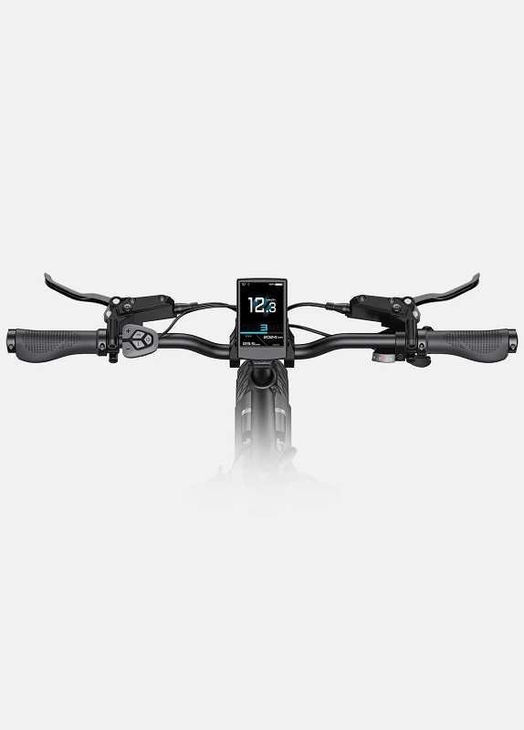 Velo-electrique-compact-Engwe-L20-3-compressed-2.jpg
