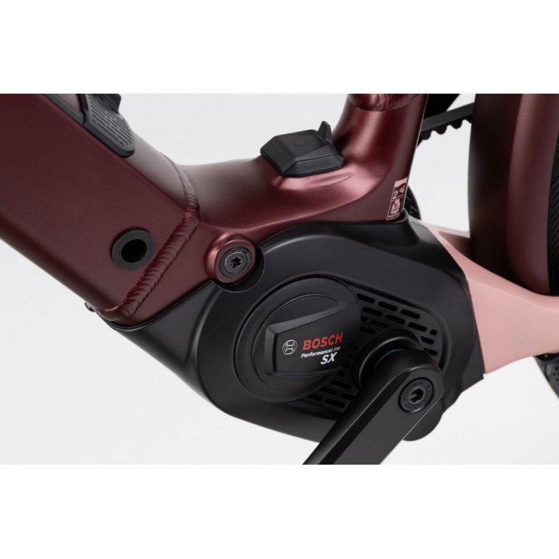 Winora-Iride-pure-R5-F-MID-3.jpg