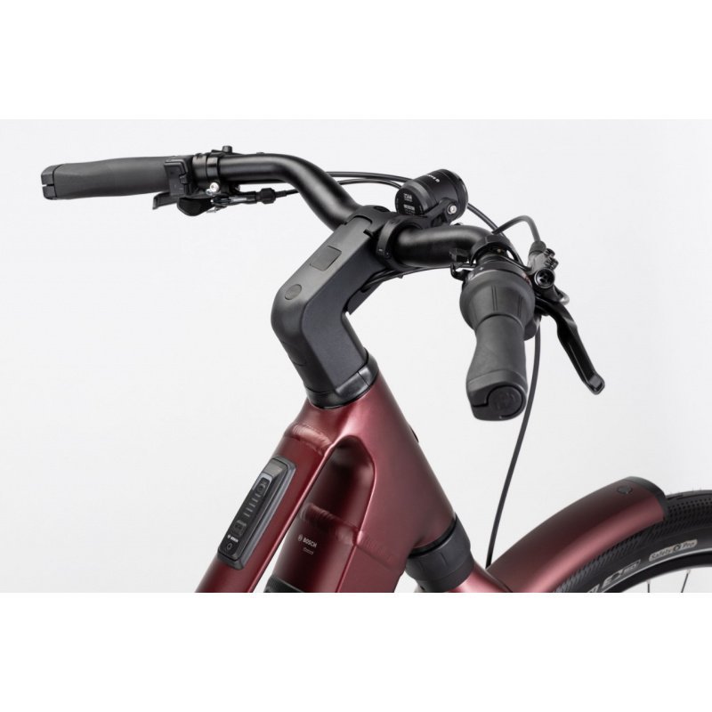 Winora-Iride-pure-R5-F-MID-4.jpg