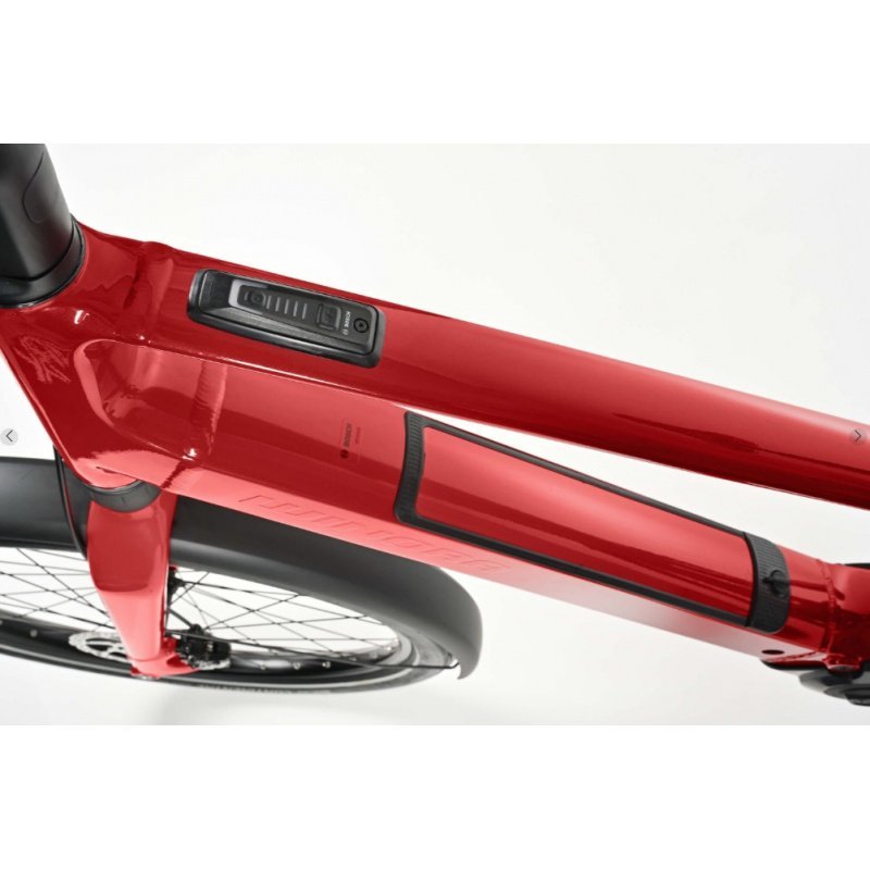 Winora-Iride-pure-X10-High-2.jpg