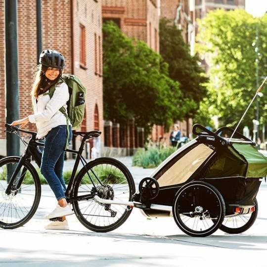 chariot-cab-2-thule-8.jpg