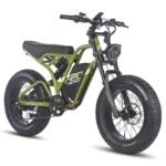 fafrees-f20-ultra-750w-20-fat-bike-1200wh-e-mountain-bike-48v-25ah-battery-e-mtb-3.jpg
