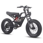 fafrees-f20-ultra-750w-20-fat-bike-1200wh-e-mountain-bike-48v-25ah-battery-e-mtb-3.jpg