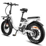 fafrees-f20-x-max-750w-20-fat-bike-1440wh-folding-electric-bike-with-48v-30ah-battery-1.jpg