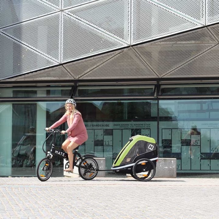 hamax-avenida-child-biketrailer-lime-stroller-two-seats-e1635338583983-1665352.jpg