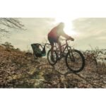 tout-terrain-singletrailer-2-sport-bike-trailer-for-1-kid-1487607-1.jpg