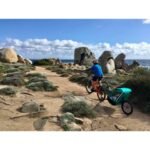 tout-terrain-singletrailer-2-sport-bike-trailer-for-1-kid-1487607-1.jpg